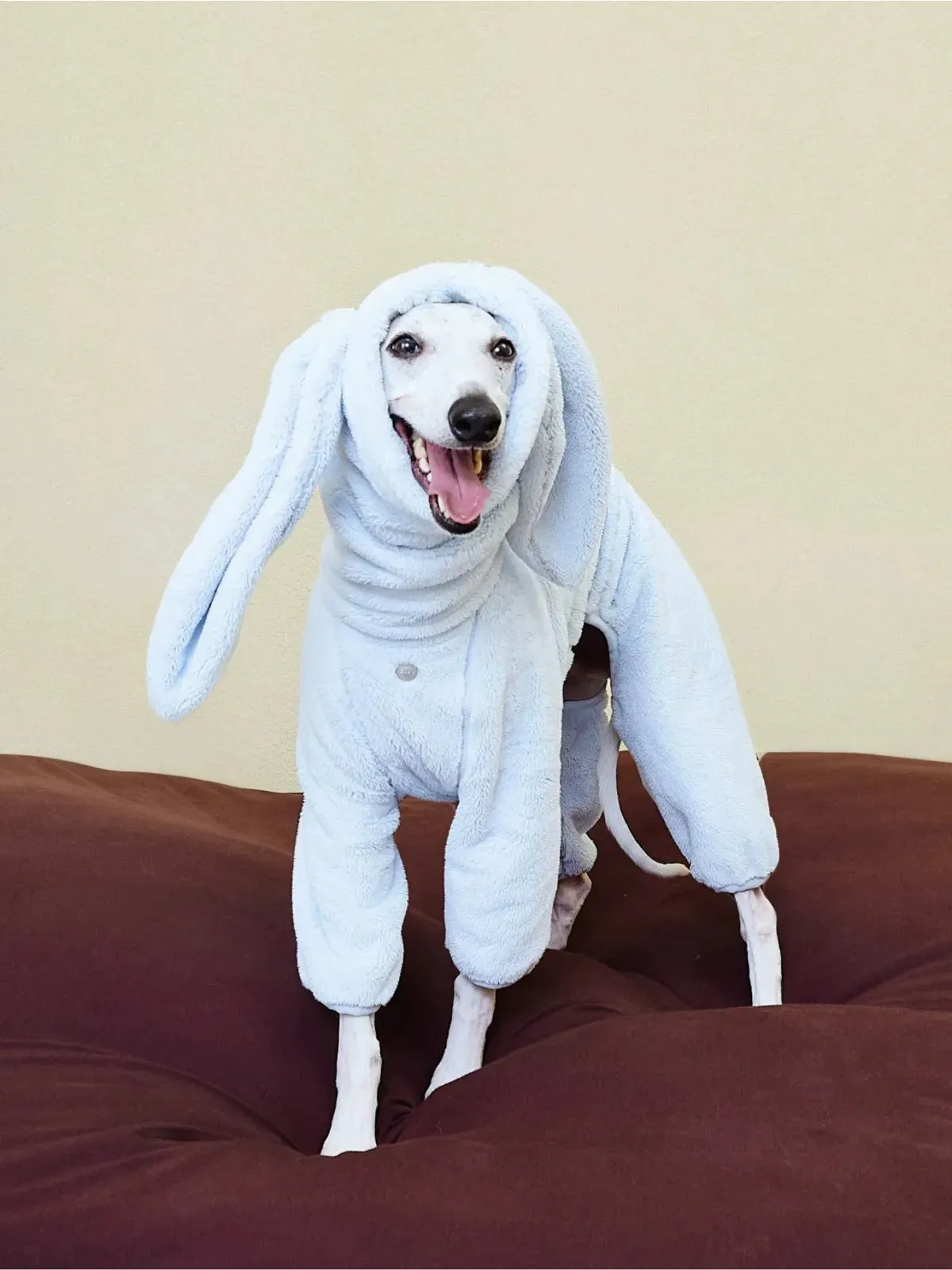 Ultra-Warm 4-Leg Fleece Jumpsuit with Detachable Bunny Ears