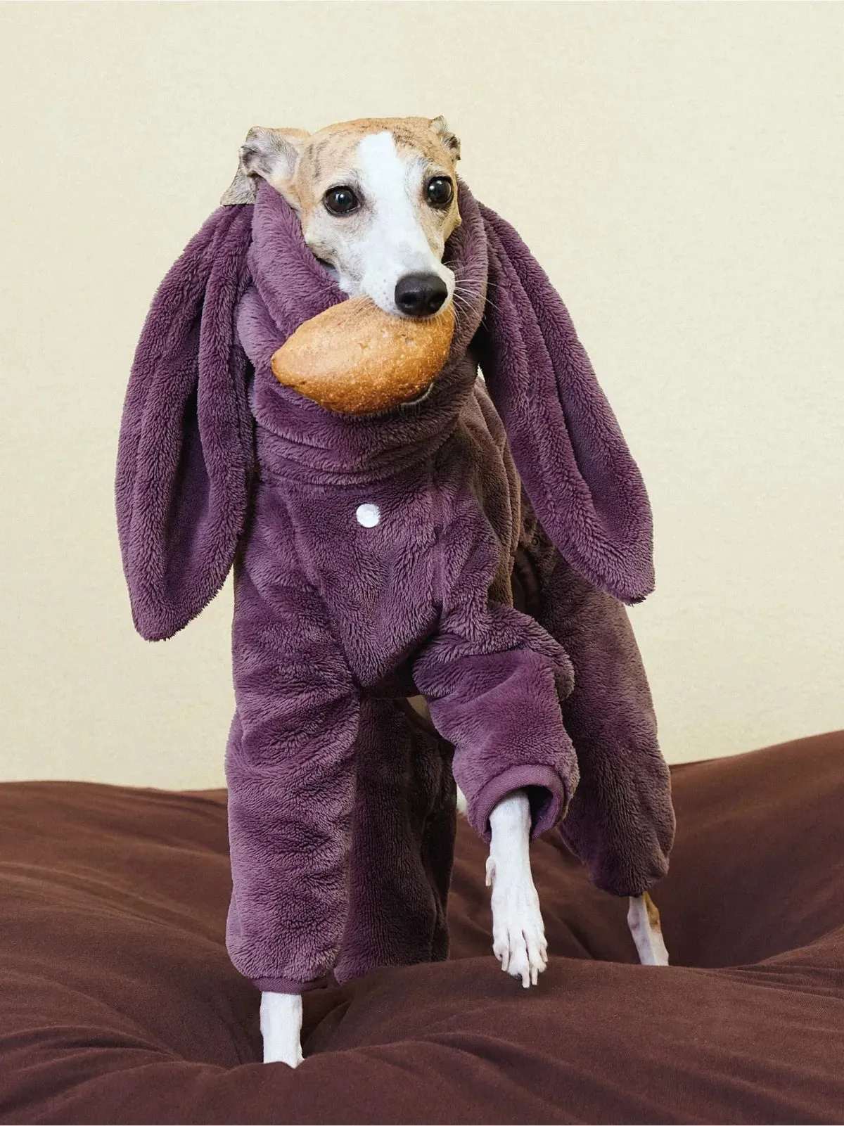 Ultra-Warm 4-Leg Fleece Jumpsuit with Detachable Bunny Ears