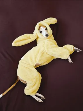 Ultra-Warm 4-Leg Fleece Jumpsuit with Detachable Bunny Ears